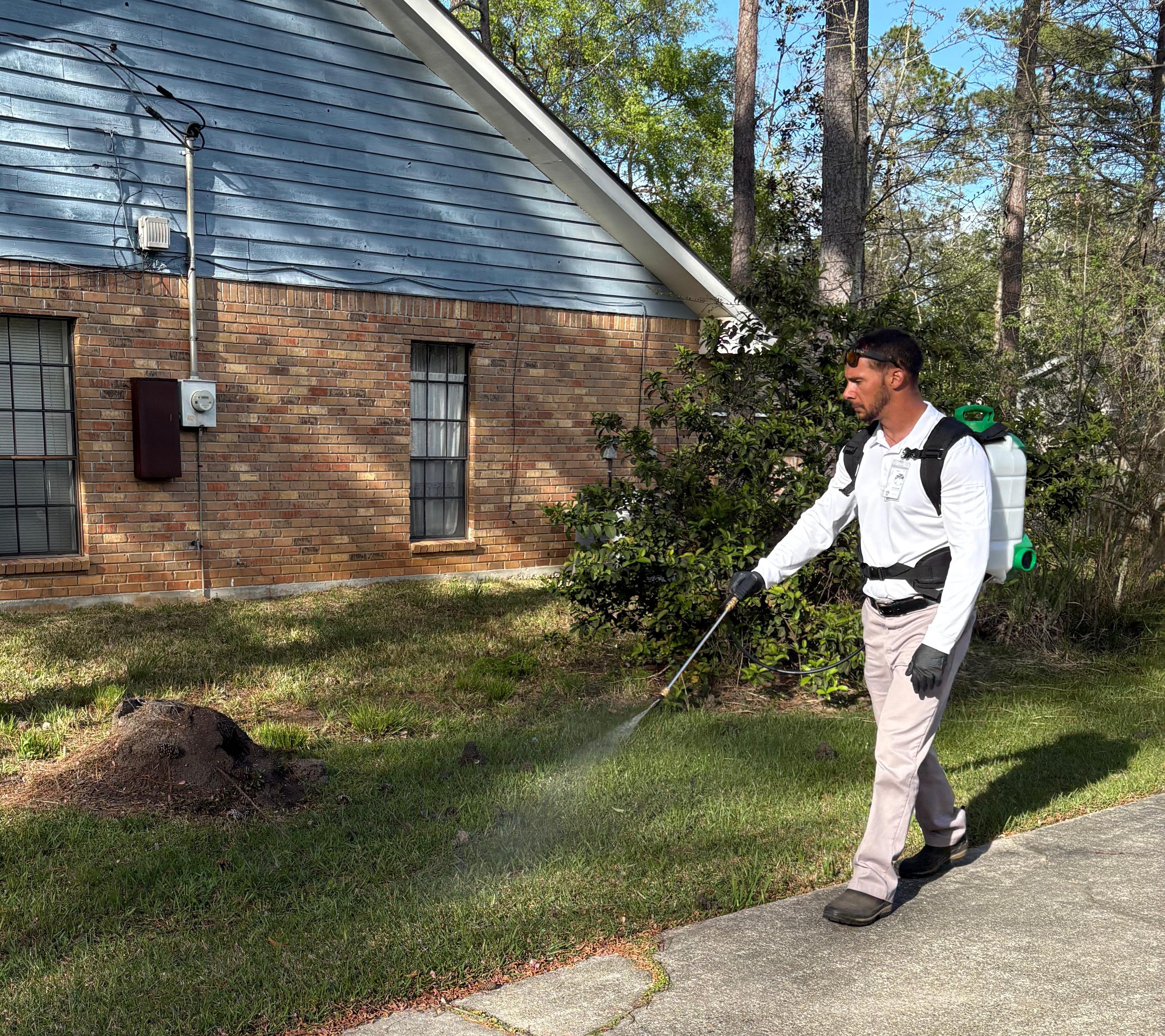 Pest Control Service