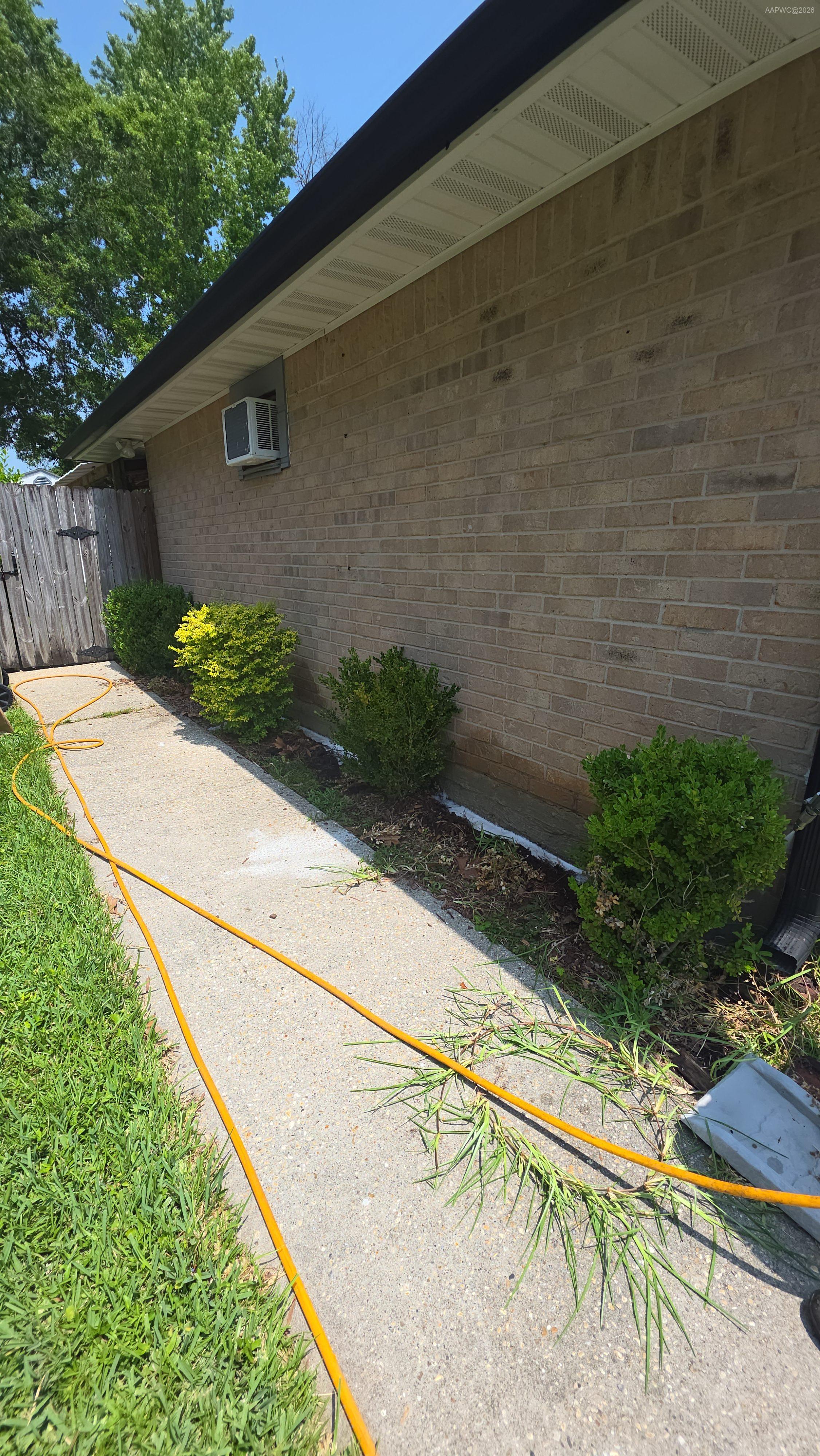 Termite Control Service